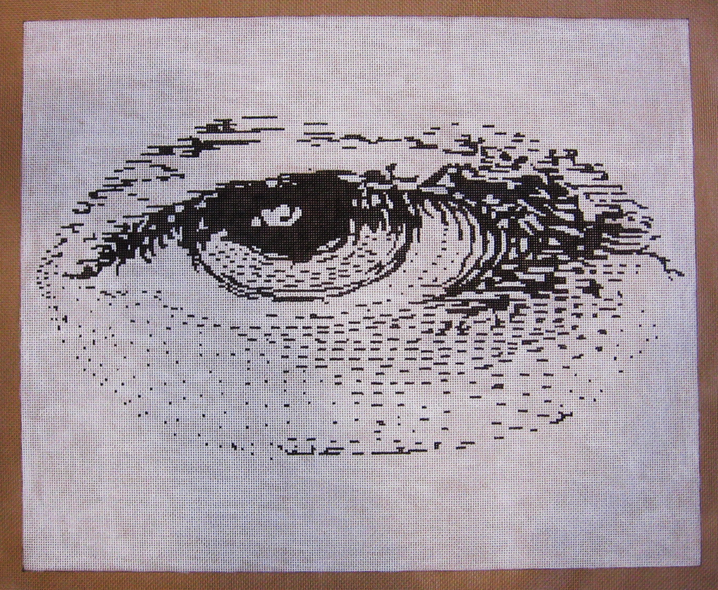 Needlepoint Eye Canvas