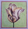 Needlepoint Tulip Canvas