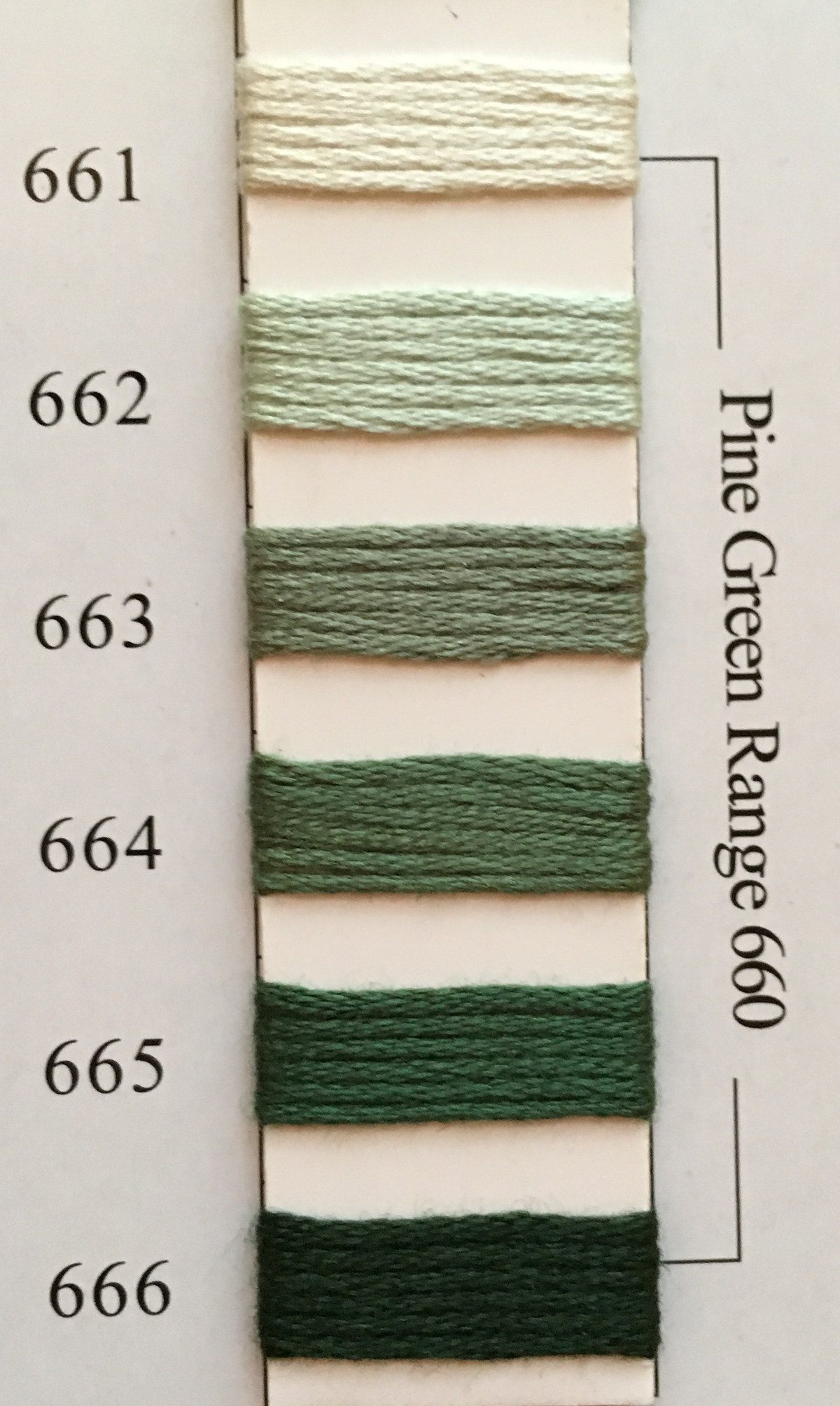 Needlepoint Inc Silk Thread Pine Green Range 660